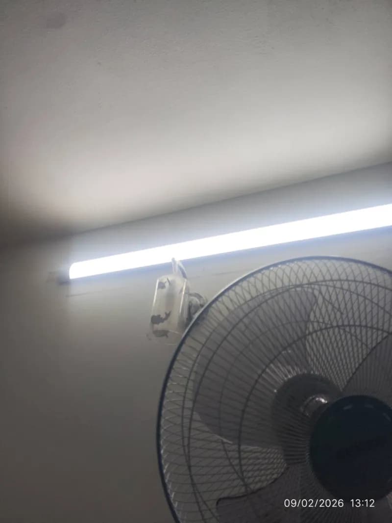 Sau khi hoàn thành sửa quạt cây SENKO tại Phường An Khánh, Thủ Đức — thợ Nguyễn Hoàng Khánh