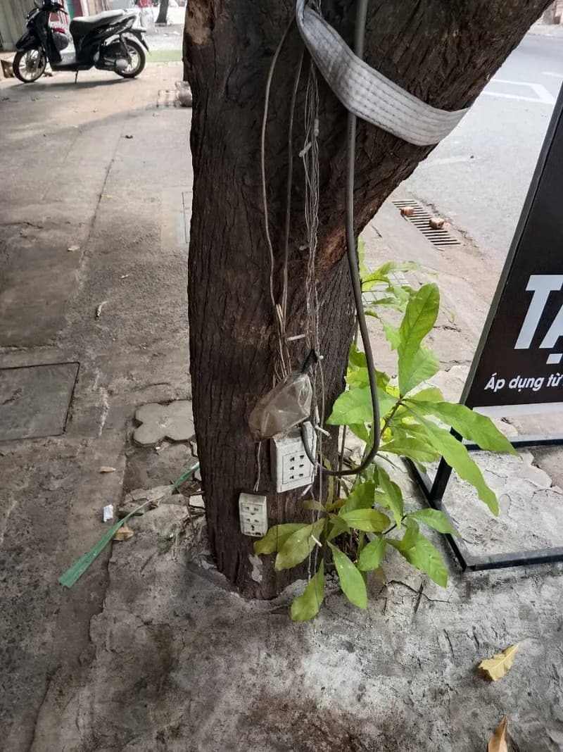 Sau khi hoàn thành sửa ổ cắm điện tại Phường 2, Tân Bình — thợ Trương Công Việt Trân