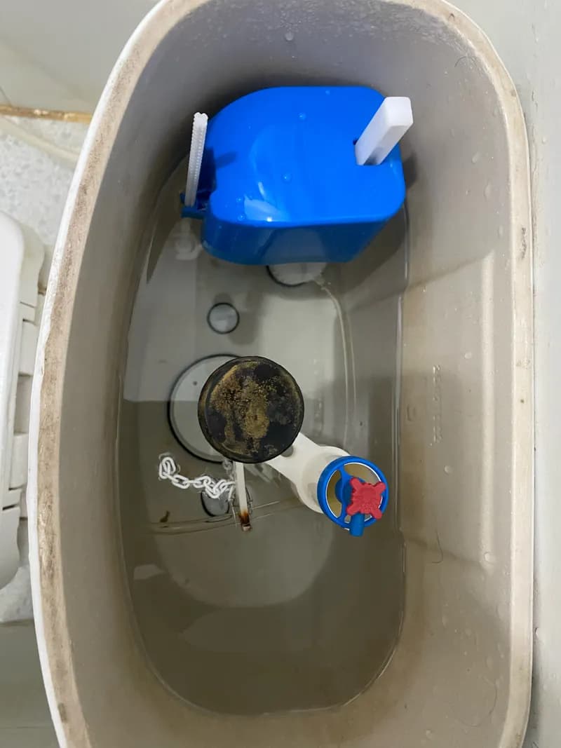 Kết quả Bồn cầu Caesar bị rò rỉ nước ở két tại Phường Tân Định quận 1, Quận 1 — thợ Dương Oai