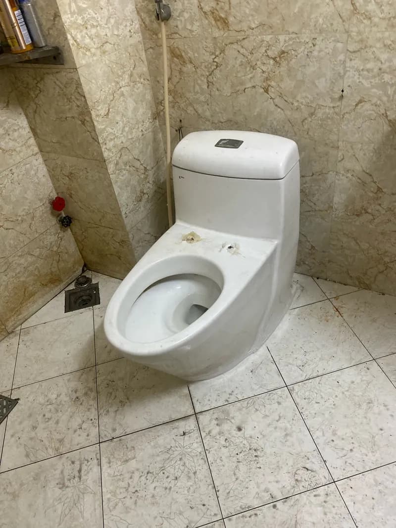 Sau khi hoàn thành sửa bồn cầu liền khối INAX tại Phường 15, Tân Bình — thợ Dương Oai