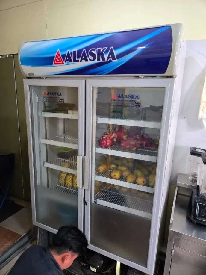 Trước sửa tủ lạnh trưng bày hai cánh Alaska tại TPHCM — thợ LỘC LÊ