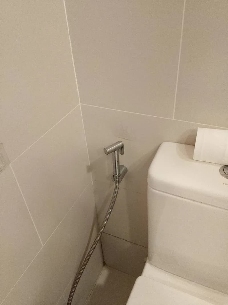 Trước sửa bồn cầu và vòi xịt vệ sinh Hafele tại TPHCM — thợ ĐỖ NHIỀU