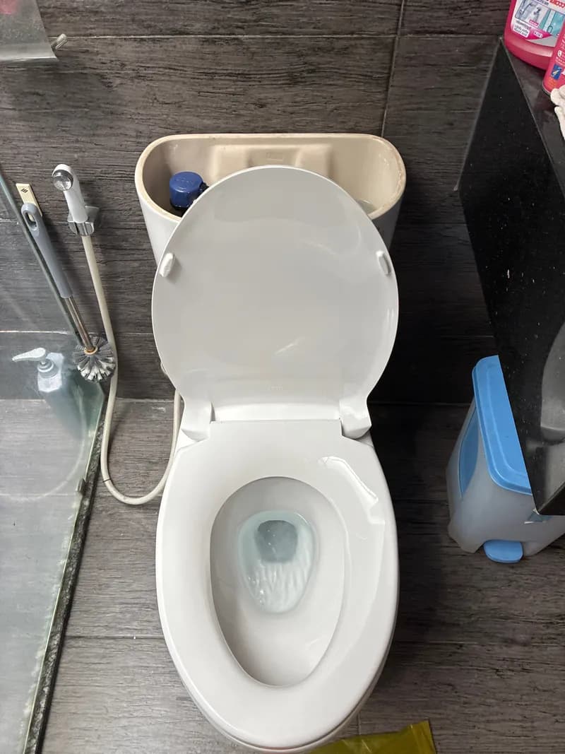 Trước sửa bồn cầu LG tại TPHCM — thợ Dương Oai