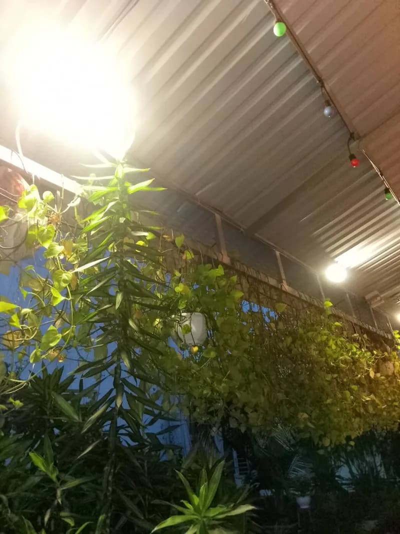 Thi công lắp đặt hệ thống điện âm tường tại Phường 13 Tân Bình tại Phường 13, Tân Bình