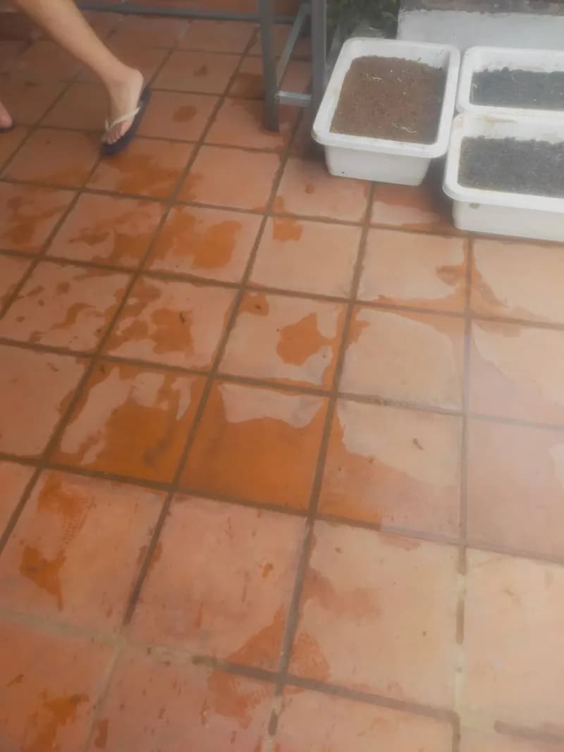 Trước sửa máy giặt tại Thủ Đức — thợ Lê Đăng Tuấn