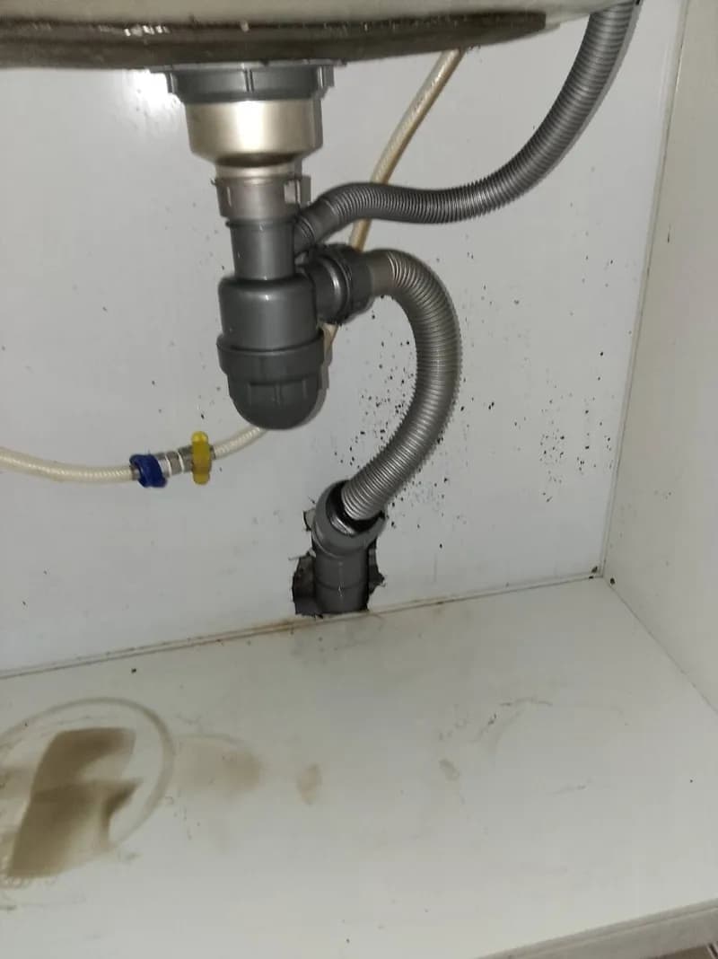 Sau khi hoàn thành sửa bồn rửa chén tại TPHCM — thợ Trương Công Việt Trân
