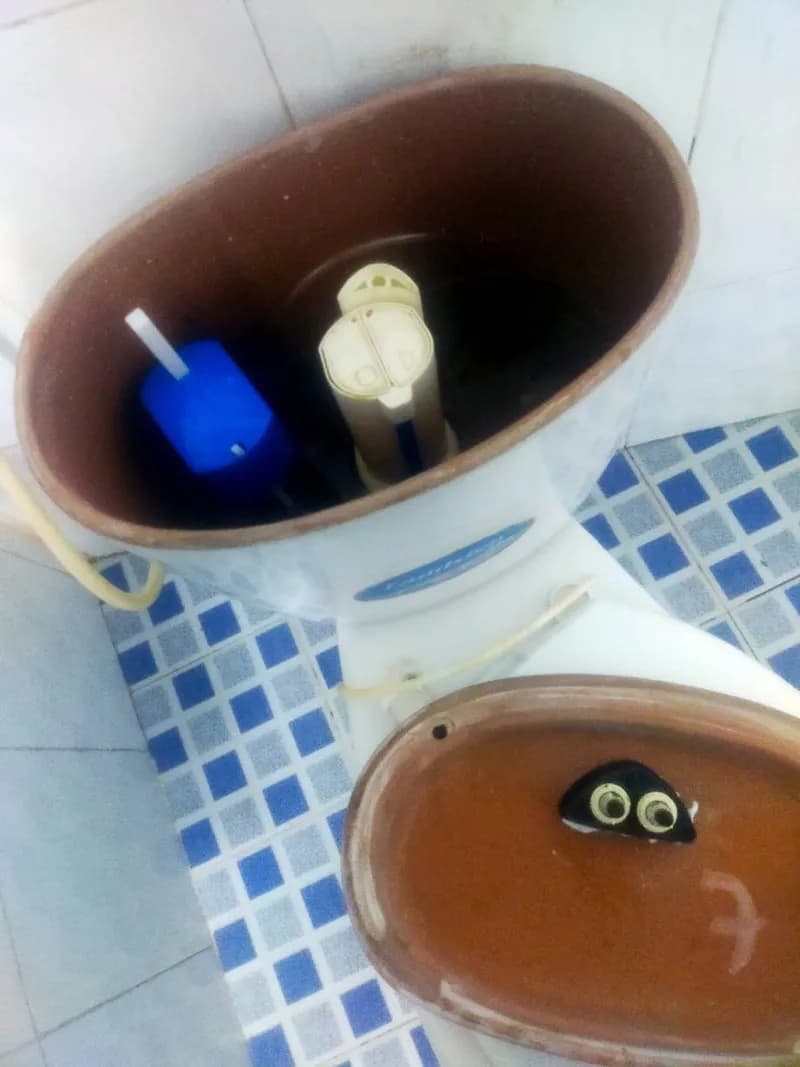 Sau khi hoàn thành sửa bồn cầu Inax tại Phường Hạnh Thông, Gò Vấp — thợ Lê Đăng Tuấn