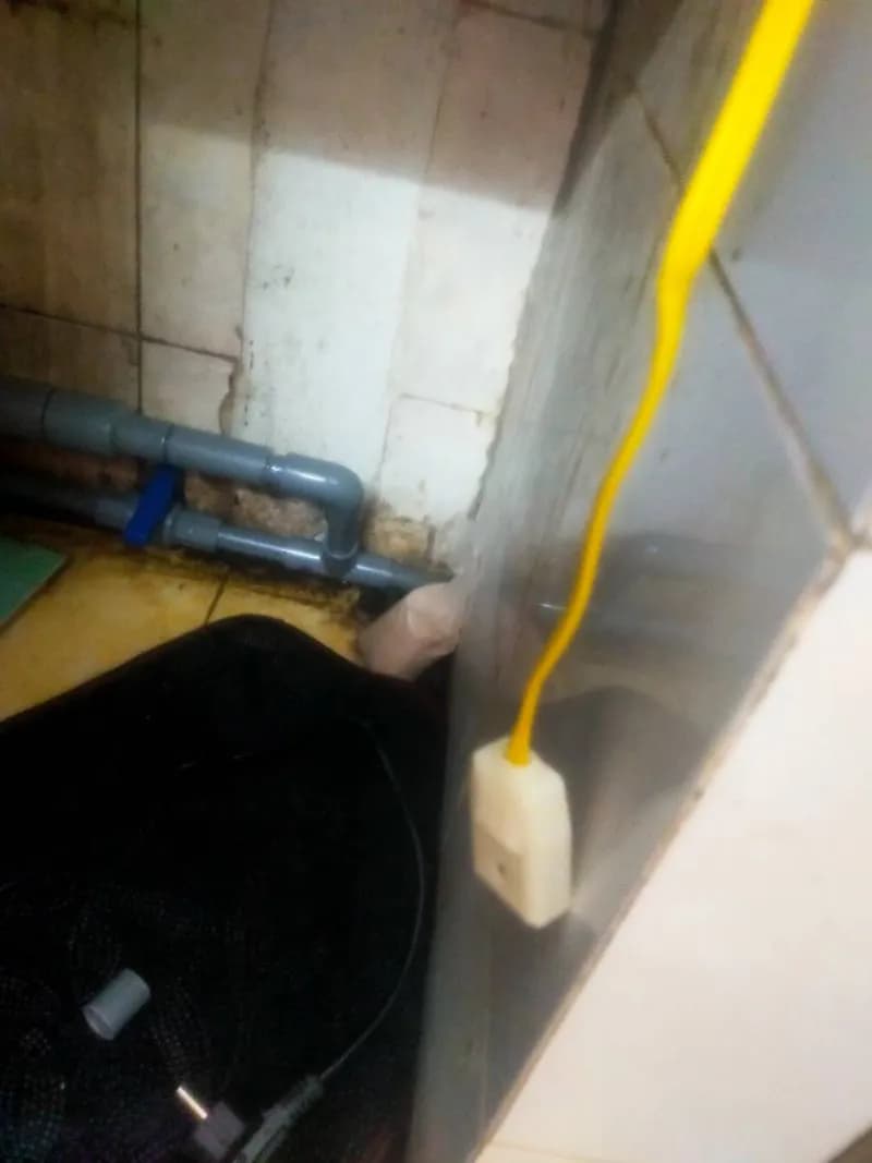 Sau khi hoàn thành sửa đường ống nước tại TPHCM — thợ Lê Đăng Tuấn