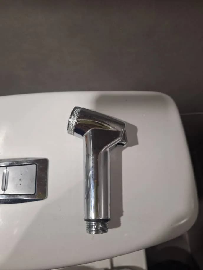 Trước sửa vòi xịt bồn cầu INAX tại Quận 4 — thợ Trần Quốc Đông