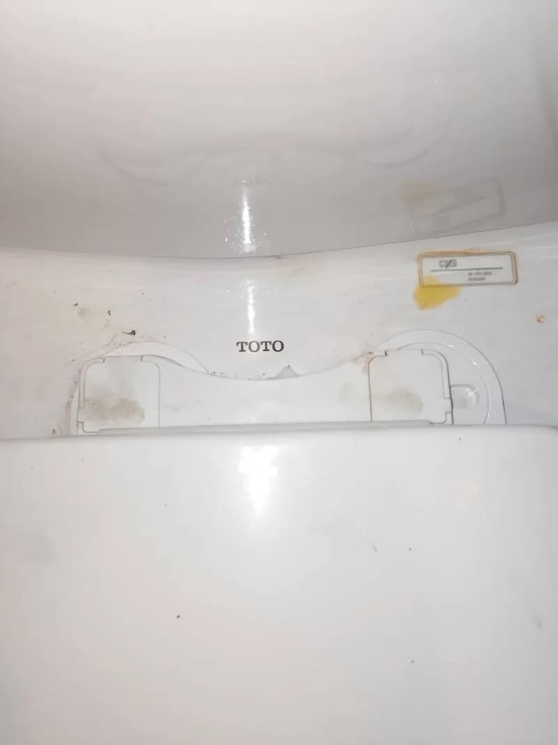 Thay thế bu-lông nắp bồn cầu TOTO tại Quận 4 tại Quận 4