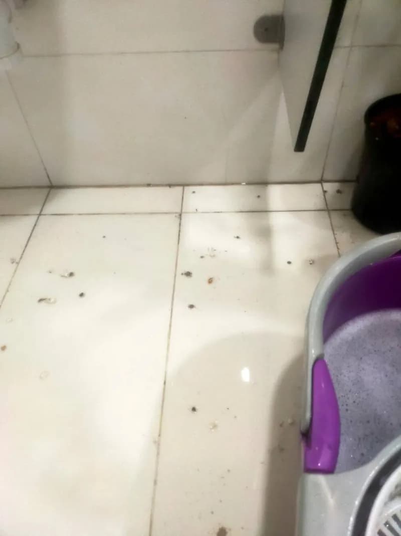 Thông tắc cống thoát nước nhà vệ sinh tại quận Bình Thạnh tại Bình Thạnh