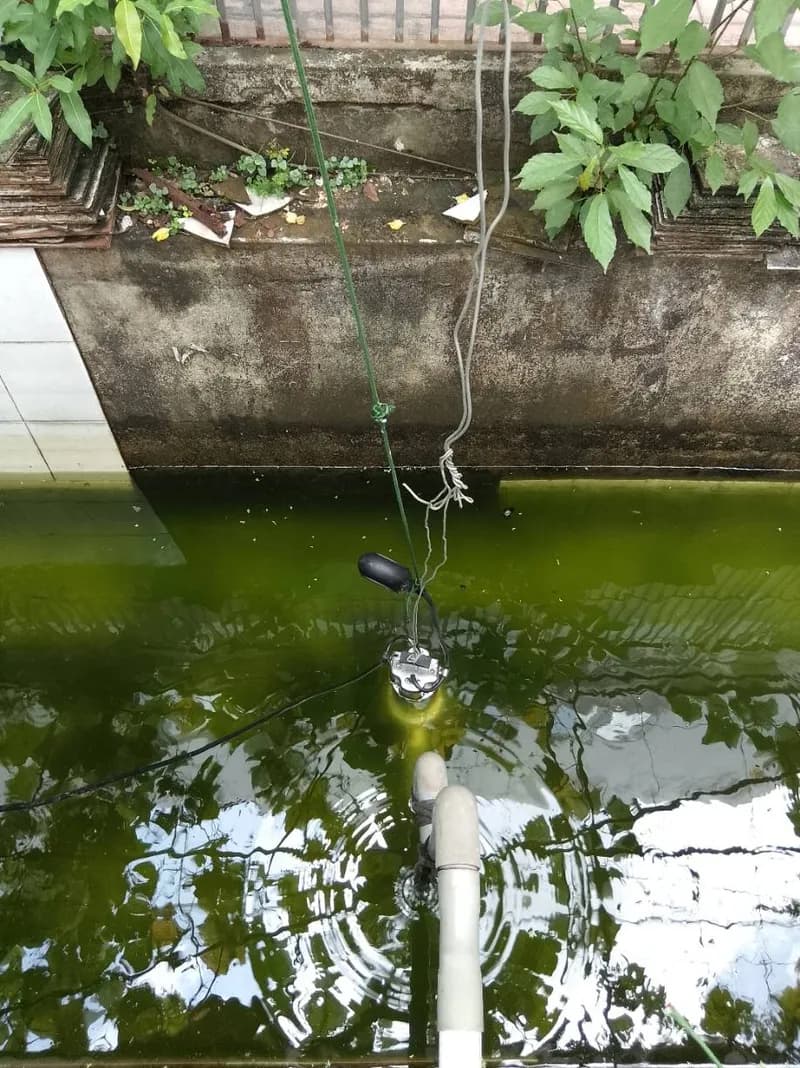 Sau khi hoàn thành sửa máy bơm chìm tại Tân Bình — thợ Trương Công Việt Trân