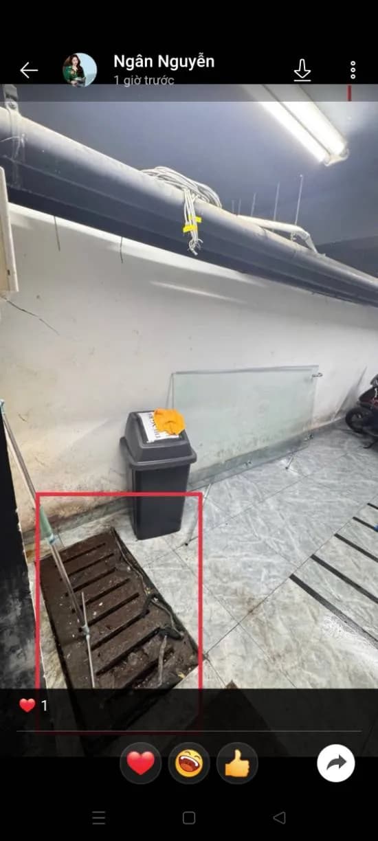 Trước sửa đường ống thoát sàn tại Gò Vấp — thợ Lê Đăng Tuấn