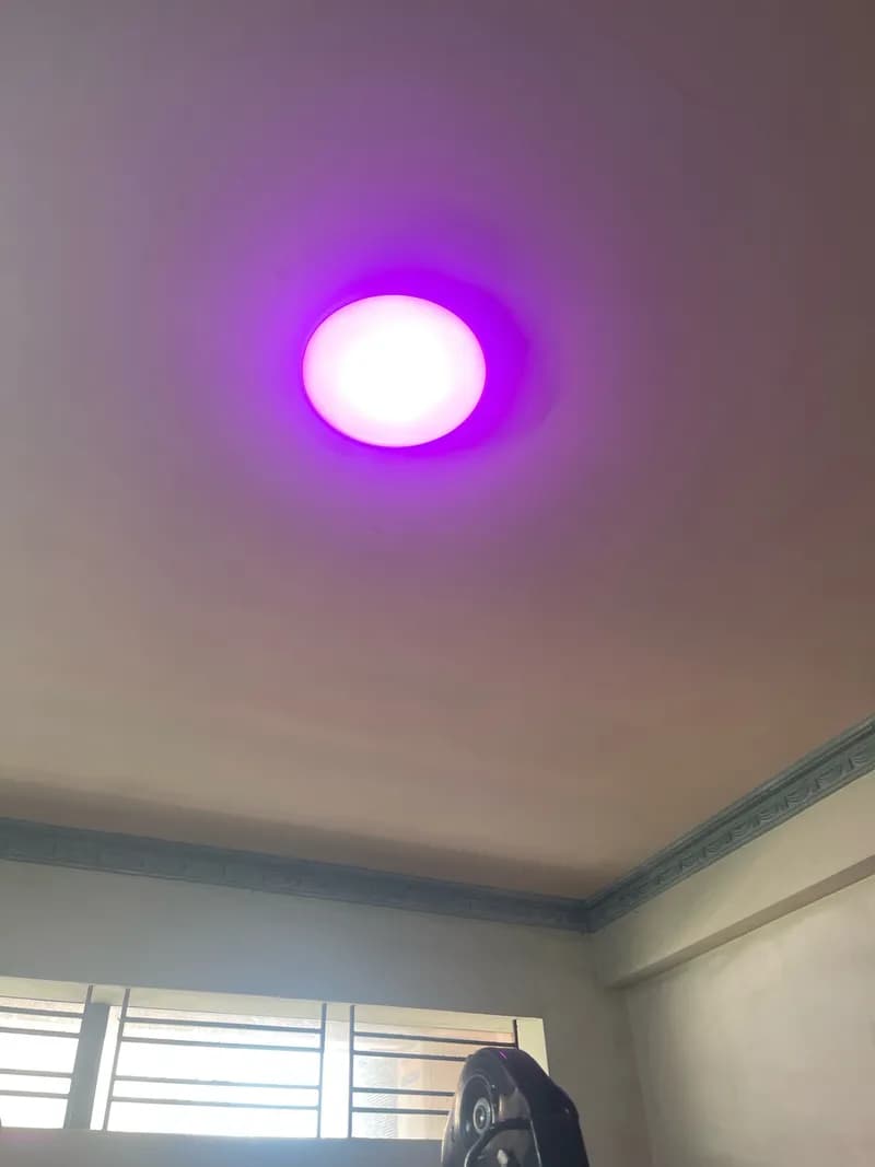 Sau khi hoàn thành sửa đèn LED tại P. Tân Quý, Tân Phú — thợ Nguyễn Quốc Bảo