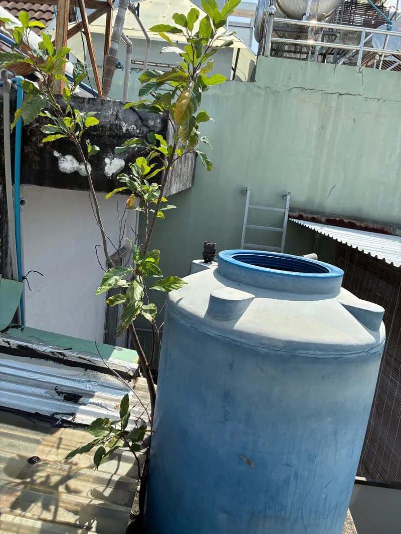 Trước sửa bồn chứa nước tại Tân Phú — thợ Dương Oai