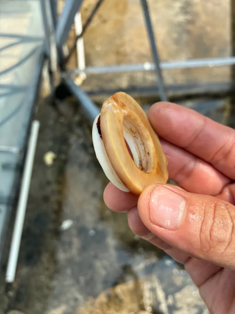 Trước sửa bồn nước tại Bình Tân — thợ Dương Oai