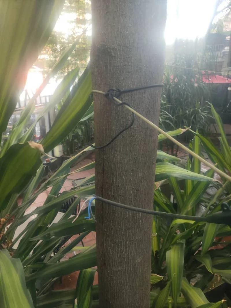 Trước sửa dây điện tại Quận 3 — thợ Nguyễn Hoàng Khánh