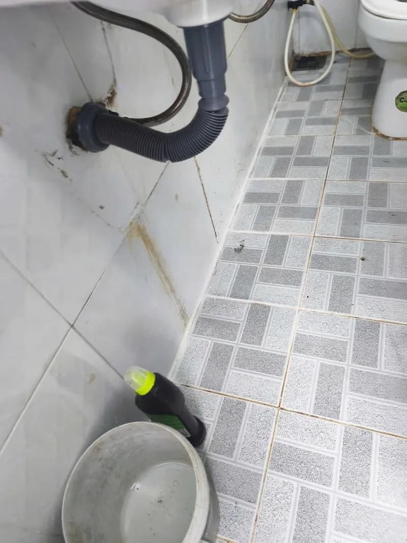 Sau khi hoàn thành sửa sàn nhà vệ sinh tại P.HCM, Gò Vấp — thợ Bùi Văn An