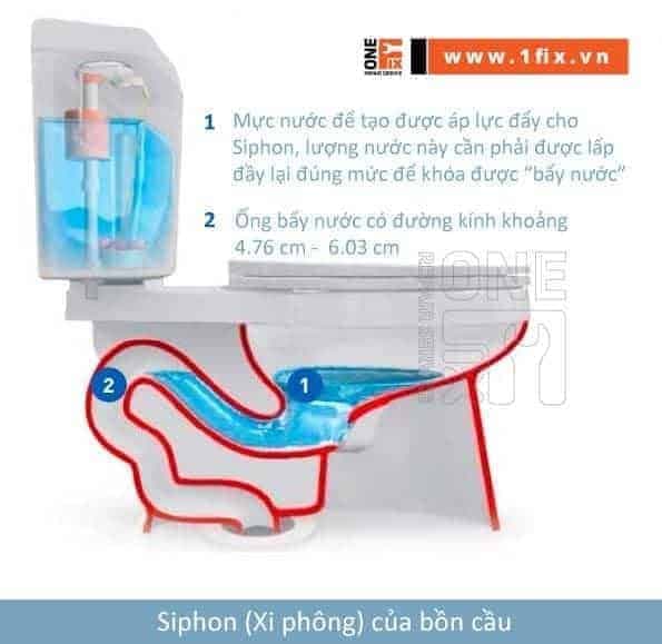 Sơ đồ cấu tạo Siphon (xi phông) ngăn mùi hôi của bồn cầu