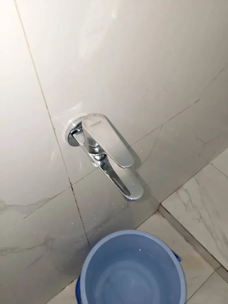 SAU