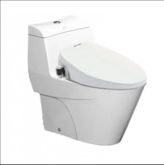 Khám phá sự tiện lợi của bồn cầu điện tử American Standard VF-2010S (VF2010S) dòng Activa nắp rửa cơ
