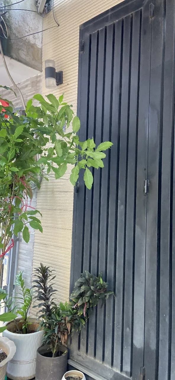 Thay ron ống xả bồn rửa chén bị rò rỉ tại Quận 8 tại Quận 8