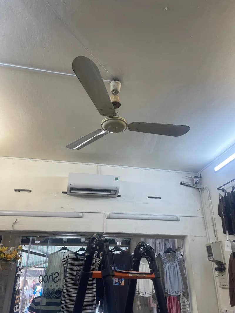 Trước sửa quạt trần Schneider tại Tân Bình — thợ Nguyễn Quốc Bảo
