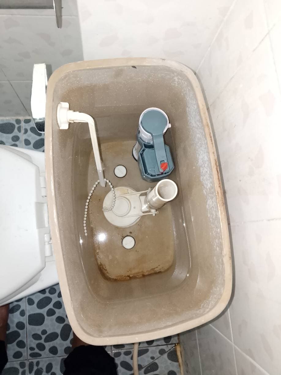 Sau khi hoàn thành sửa bồn cầu tại Phường 3, Quận 8 — thợ Đỗ Nhiều (5 sao)
