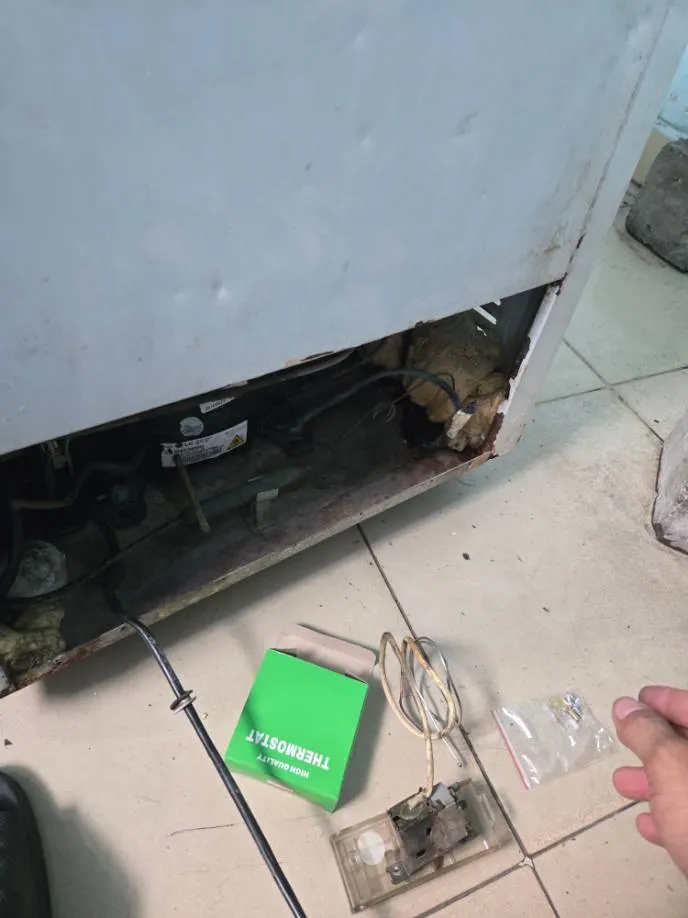 Hiện trường trước khi sửa ca tủ đông Sanaky tại Tân Bình — thay thermostat, chi phí 950.000đ (mã việc 617921393)