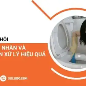 bon cau bi hoi