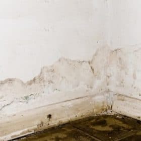 tuong tham nuoc mua 3